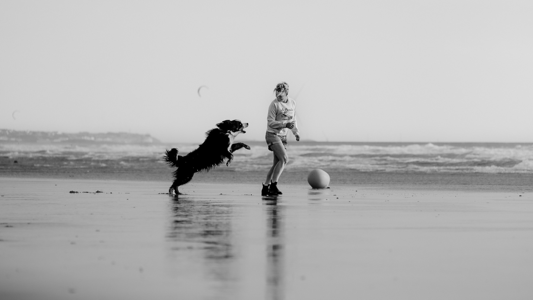 Jeu et complicité avec un chien sur la plage