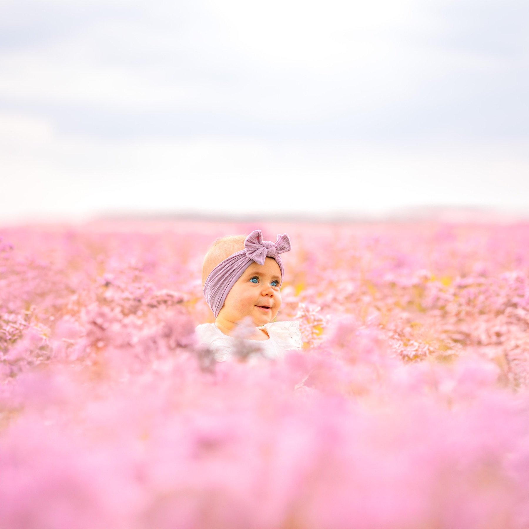 Portrait de bébé dans un champ fleuri