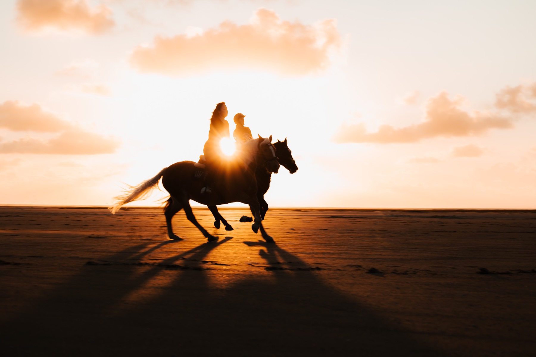 Cavaliers au coucher du soleil